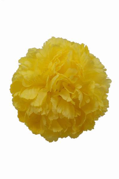 Yellow Giant Carnation. 16 cm