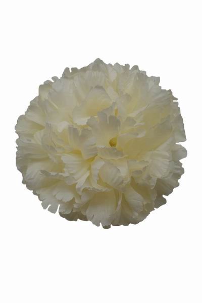 Ivory Giant Carnation. 16 cm