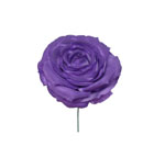 Purple Rose in Medium Size. Model Oporto. 11cm 6.610€ #50223104TMRD