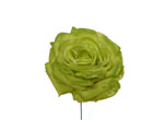 Rose de taille moyenne en tissu Vert pistache. Modèle Oporto. 11 cm 6.610€ #50223104TPSTCH