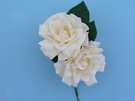 Flores para novia mod. Dos rosas Saly 7.150€ #502230010N