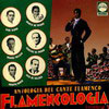 Antología del cante flamenco. Flamencología. Vol. 6