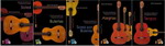 Progressive studies for Flamenco Guitar by Mehdi Mohagheghi. Pack 5(Book/DVD) - Mehdi Mohagheghi. Soleá, Bulerías, Soleá por Bulerías , Alegrías y Tangos. 90.00€ #50489DVD-EPPACK-5