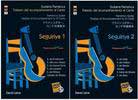 Treatise of Accompaniment to Cante Seguiriya 1 and 2- (DVD / Book ) David Leiva. Pack 39.70€ #50489DVD-TSEGUIRIYA
