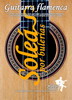 Manuel Salado: Flamenco Guitar . Vol 2 Soleá por Bulerías. Dvd+Cd 27.00€ #50550GUIT02