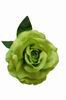 フラメンコバラコサージュ（花）ピスタチオグリーン色染色 Maravilla. 16cm 9.960€ #502230012T91