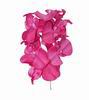 Artificial Flamenco Orchids. 16cm 14.880€ #5022321T