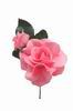 Flamenco Flower mod. Baby Rose (Silk). 10cmX7cm