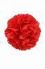 Red Giant Carnation. 16cm 9.920€ #50657CLAVEL16CM