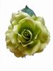 Fleurs pour la Feria. Cinthia Vert Pistache. 16cm 9.950€ #50657324PSTCH