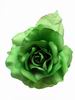 緑のフェリアコサ－ジュ. Cinthia モデル. グリーン. 16cm 9.950€ #50657324