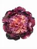 Flores de Flamenca Peonia Grande en Tonos Morados y Salmón. 16 cm 13.220€ #50657P2MRD