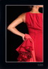 The photografic prints of Flamenco 03 45.000€ #50556FotoPS03