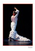 The photografic prints of Flamenco 05 45.000€ #50556FOTOPS05