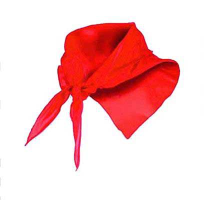 Red San Fermin scarf