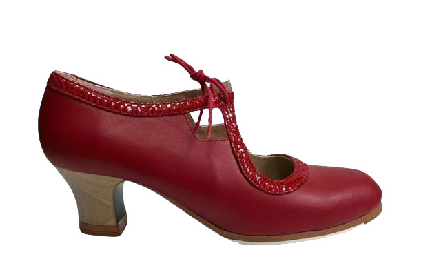 フラメンコシューズ サパトス ベゴーニャセルベラ おさまる Begoña Cervera 