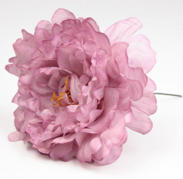 小さな牡丹。フラミンゴの花。ロサ・パロ。 11cm