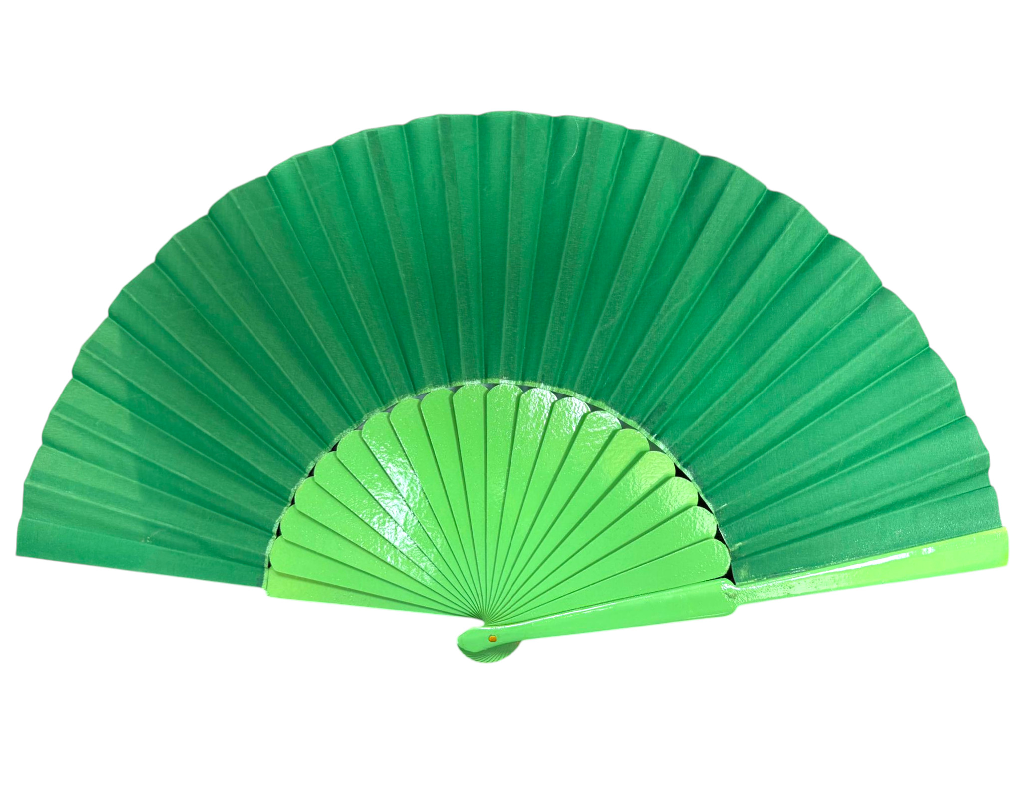 グリーンエコノミックペリコン。55cm X 30cm