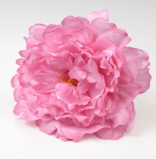 小さな牡丹。フラミンゴの花。ロサ。11cm