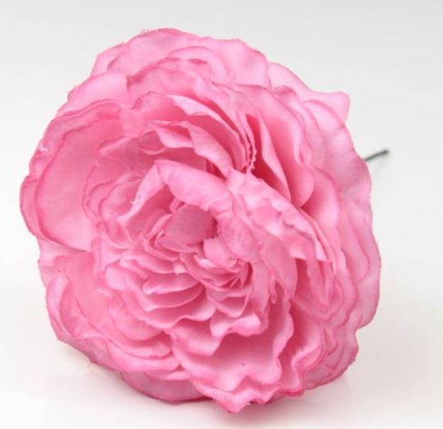 Flamenco Ranunculus Fleur Malaga. Rose RS64. 9cm