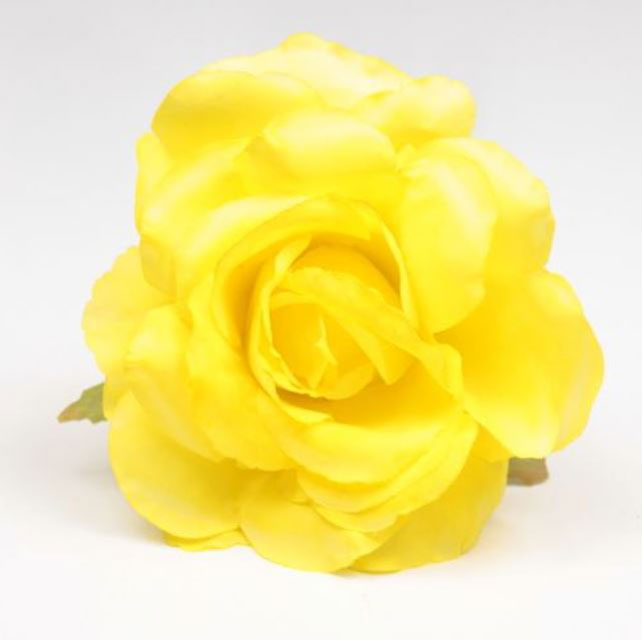 Small Rose Cadiz. 10cm. Yellow 24