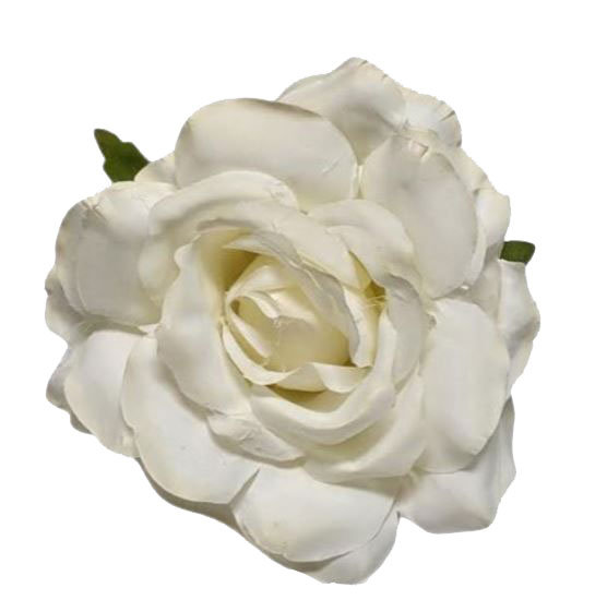 スモールローズ・カディス 10cm。アイボリー CR76