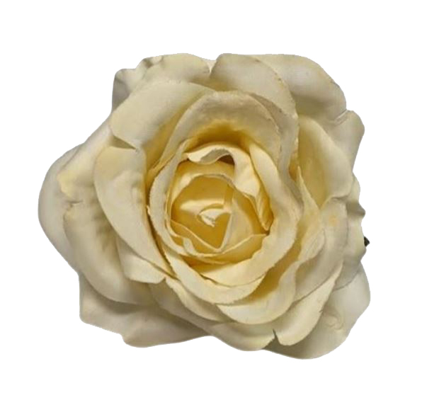 ミニローズグラナダ。アイボリー CR17。7cm