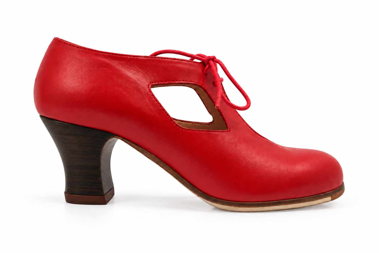 Zapato Flamenco Begoña Cervera. Cuatro Vientos