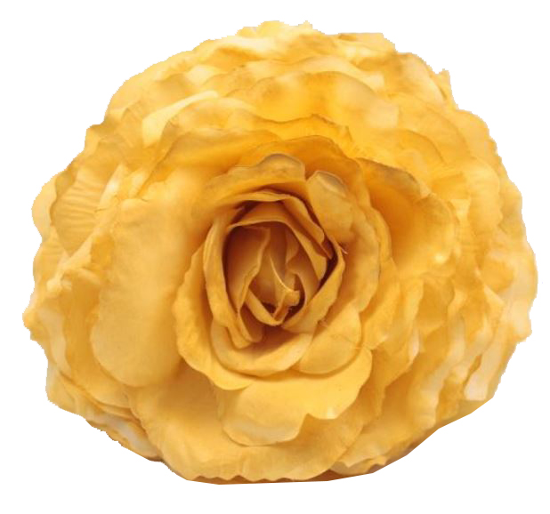 Amarillo