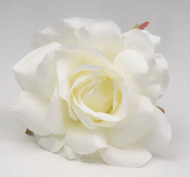 Blanco / Marfil