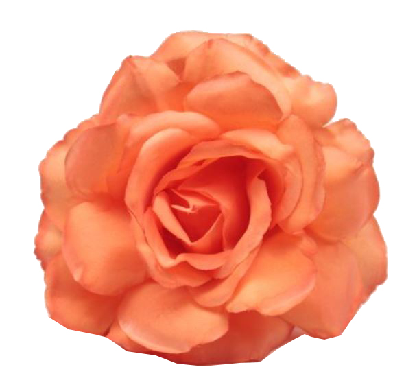 Naranja / Salmon