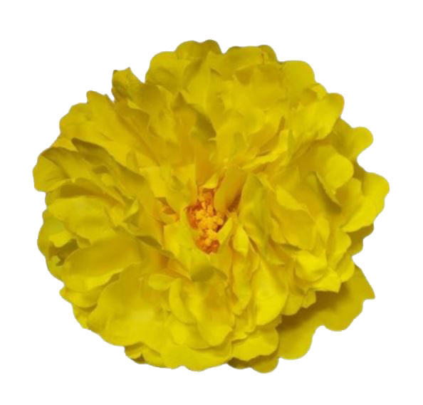 Flor Peonía Grande París Color Amarillo. AM24. 16cm
