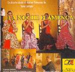 Solo Compás - La noche flamenca