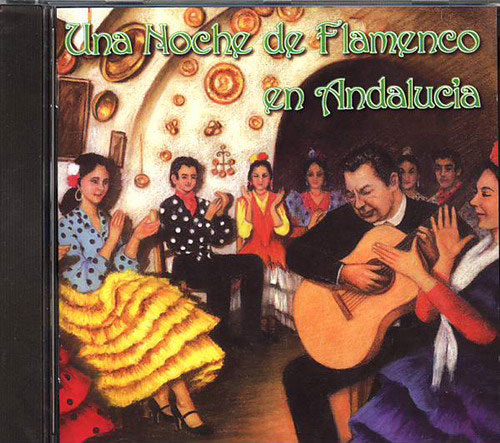 Una Noche de Flamenco en Andalucía