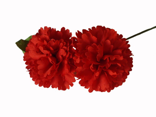 Red carnation. Flamenco flowers