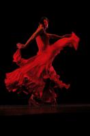 Garde-robe pour la danse flamenco